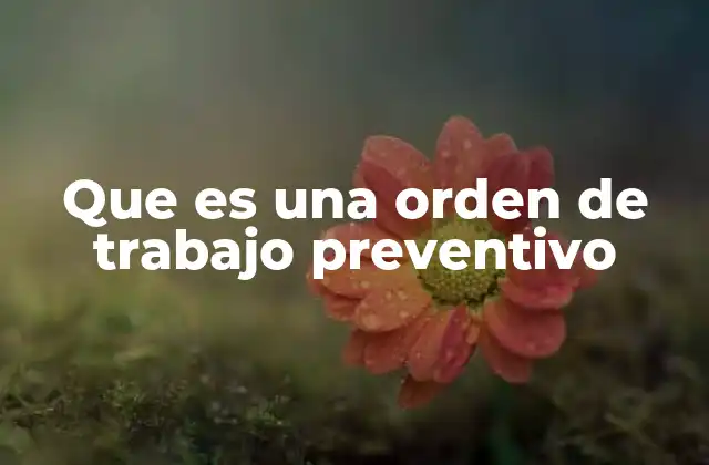 Que es una Orden de Trabajo Preventivo