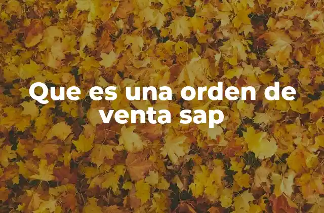Que es una Orden de Venta Sap
