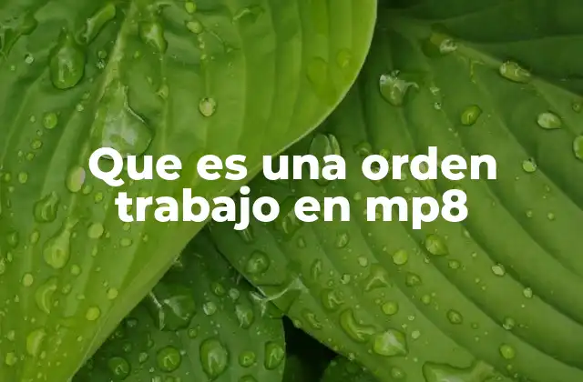 Que es una Orden Trabajo en Mp8
