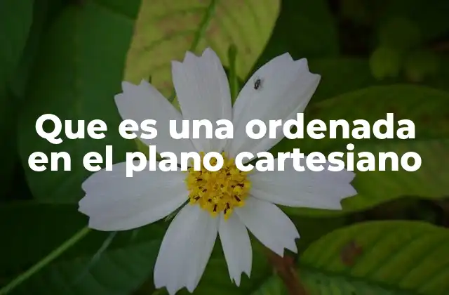 Que es una Ordenada en el Plano Cartesiano