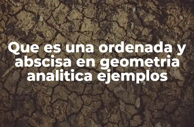 Que es una Ordenada y Abscisa en Geometria Analitica Ejemplos