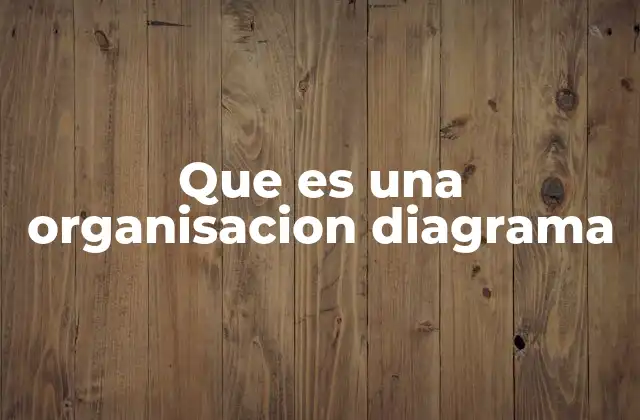 Que es una Organisacion Diagrama