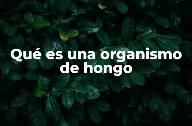 Qué es una Organismo de Hongo