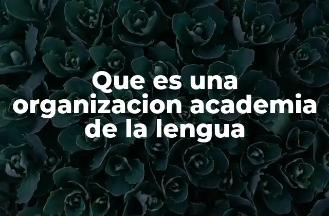 Que es una Organizacion Academia de la Lengua