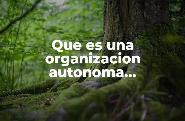 Que es una Organizacion Autonoma Descentralizada