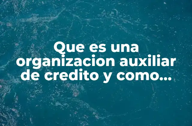 Que es una Organizacion Auxiliar de Credito y como Funcionan