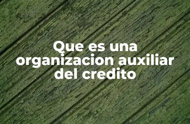 Que es una Organizacion Auxiliar Del Credito