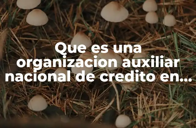 Que es una Organizacion Auxiliar Nacional de Credito en Mexico