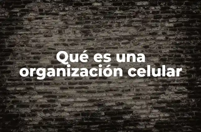 Qué es una Organización Celular 2 Cómo se clasifica la organización celular