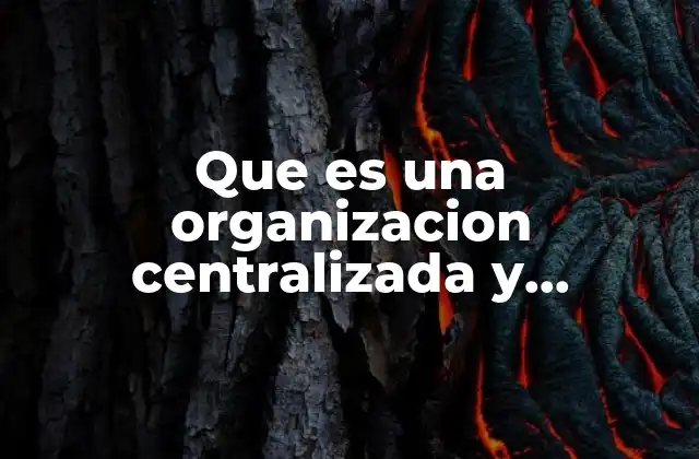 Que es una Organizacion Centralizada y Descentralizada