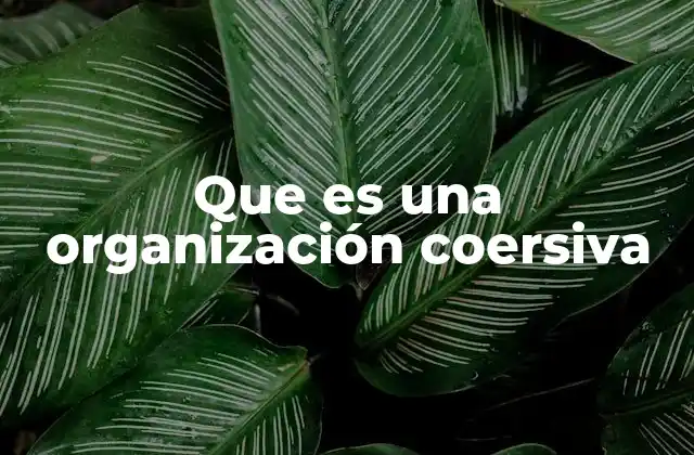 Que es una Organización Coersiva