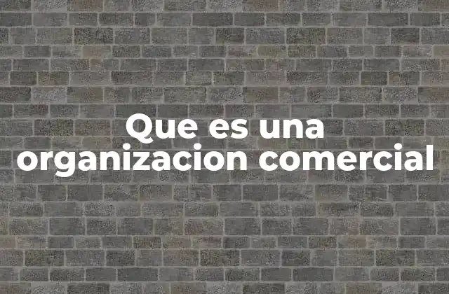 Que es una Organizacion Comercial