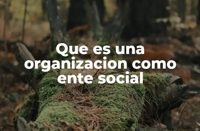 Que es una Organizacion como Ente Social
