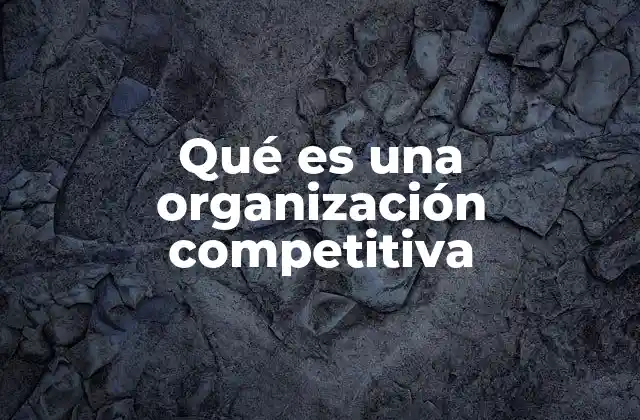 Qué es una Organización Competitiva