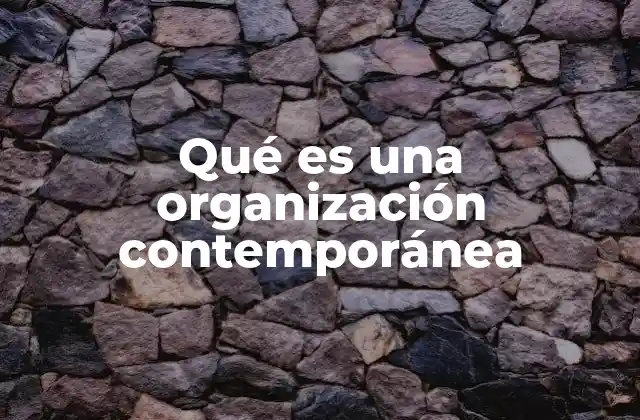 Qué es una Organización Contemporánea