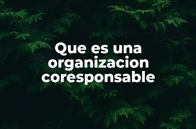 Que es una Organizacion Coresponsable