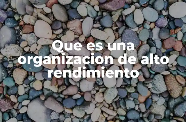 Que es una Organizacion de Alto Rendimiento