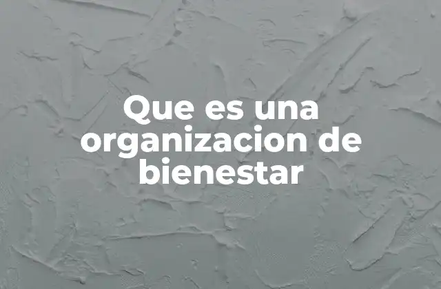 Que es una Organizacion de Bienestar