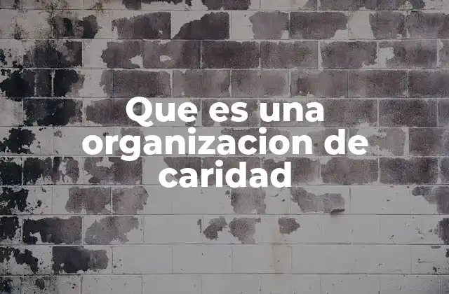 Que es una Organizacion de Caridad