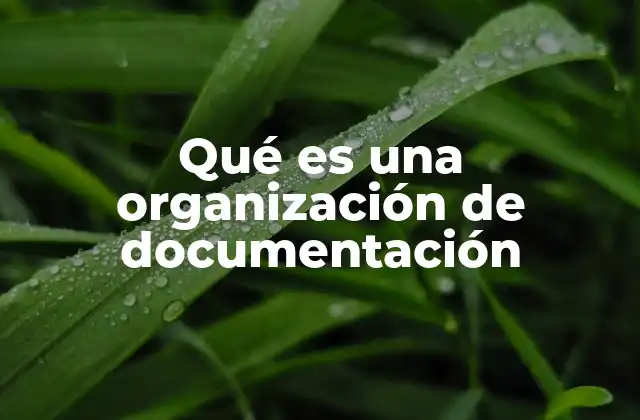 Qué es una Organización de Documentación