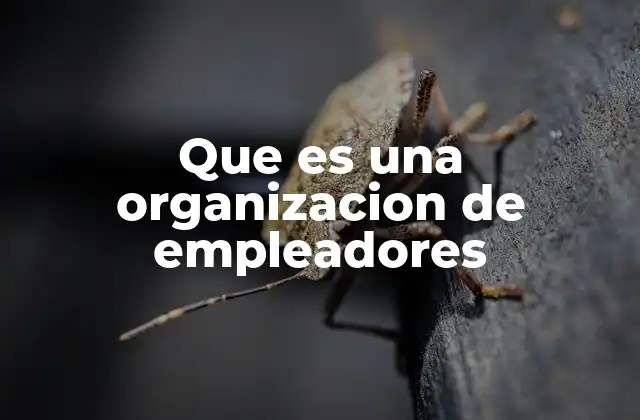 Que es una Organizacion de Empleadores