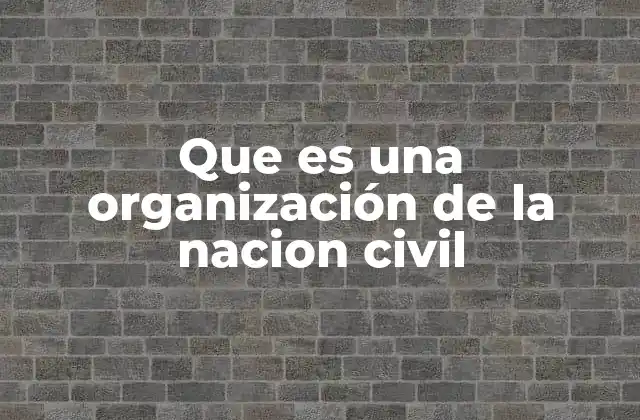 Que es una Organización de la Nacion Civil
