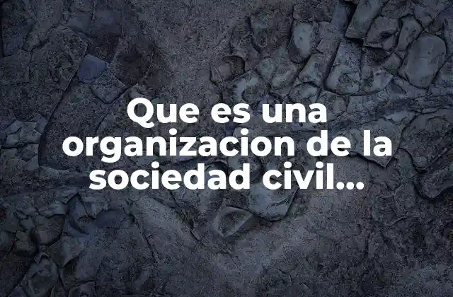 Que es una Organizacion de la Sociedad Civil Movimientos Sociales