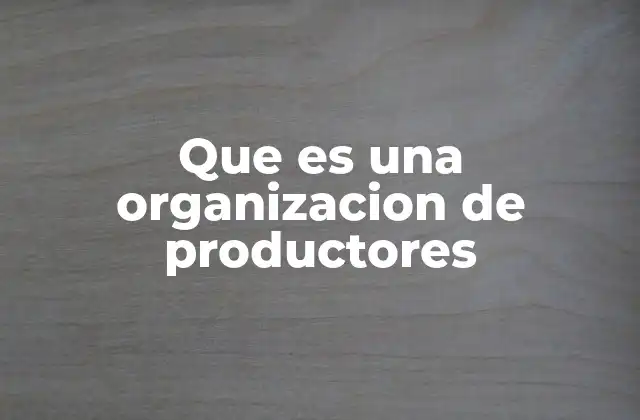 Que es una Organizacion de Productores