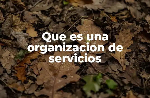 Que es una Organizacion de Servicios