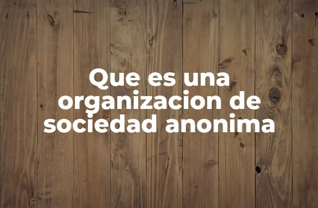Que es una Organizacion de Sociedad Anonima