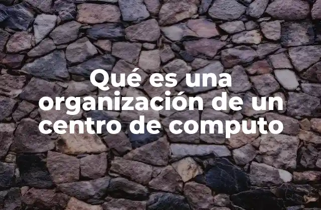 Qué es una Organización de un Centro de Computo