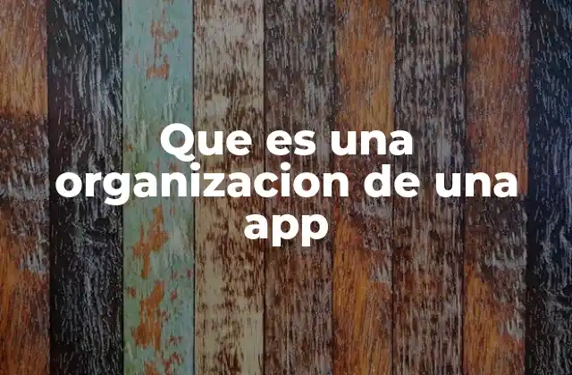 Que es una Organizacion de una App
