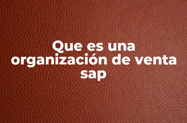 Que es una Organización de Venta Sap 2 La importancia de estructurar correctamente la organización de ventas