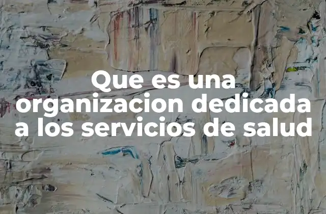 Que es una Organizacion Dedicada a los Servicios de Salud