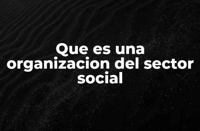 Que es una Organizacion Del Sector Social