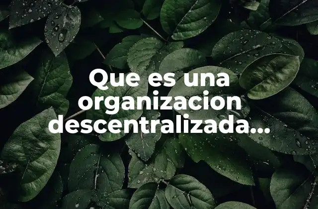El funcionamiento interno de las estructuras descentralizadas