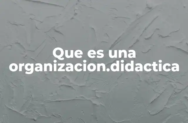 Que es una Organizacion.didactica