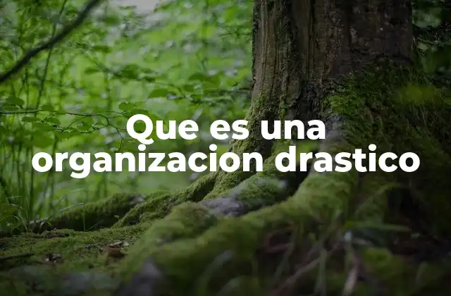 Que es una Organizacion Drastico