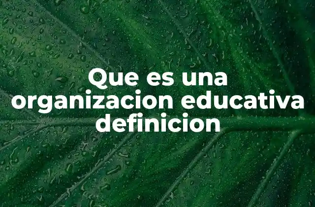 Que es una Organizacion Educativa Definicion