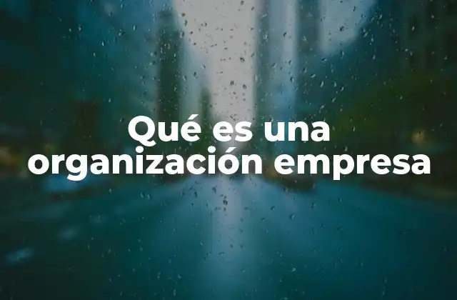 Qué es una Organización Empresa