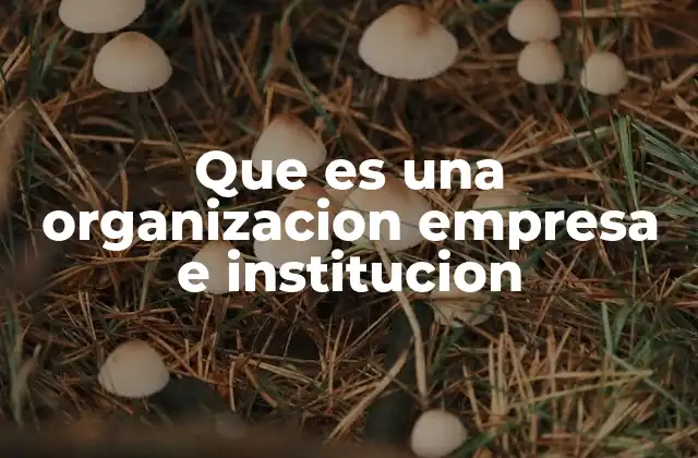 Que es una Organizacion Empresa e Institucion