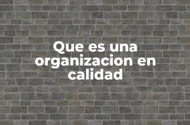 Que es una Organizacion en Calidad