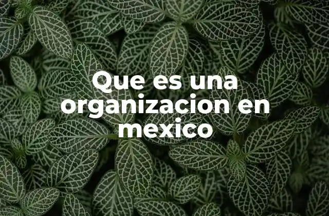 Que es una Organizacion en Mexico