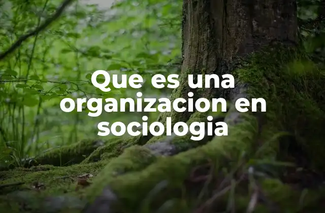 Que es una Organizacion en Sociologia