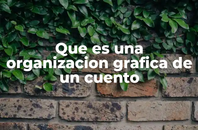 Que es una Organizacion Grafica de un Cuento