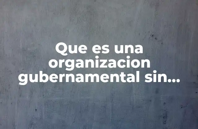 Que es una Organizacion Gubernamental sin Fines de Lucro
