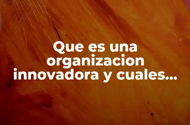 Que es una Organizacion Innovadora y Cuales Son Sus Caracteristicas