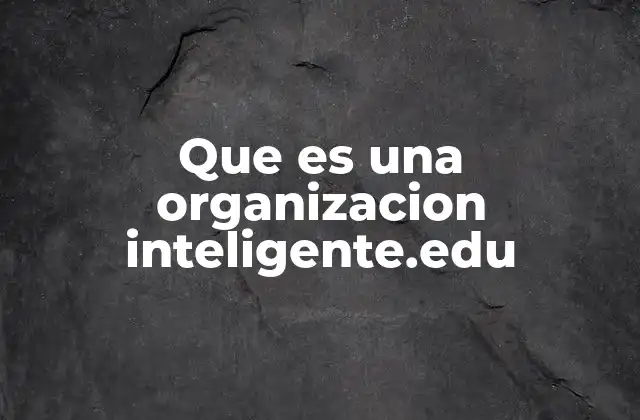 Que es una Organizacion Inteligente.edu
