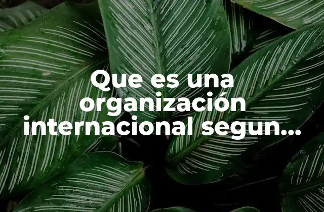 Que es una Organización Internacional Segun Autores