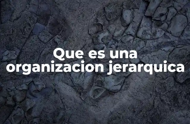 Que es una Organizacion Jerarquica
